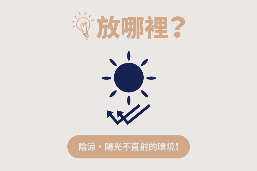 面膜放哪裡？