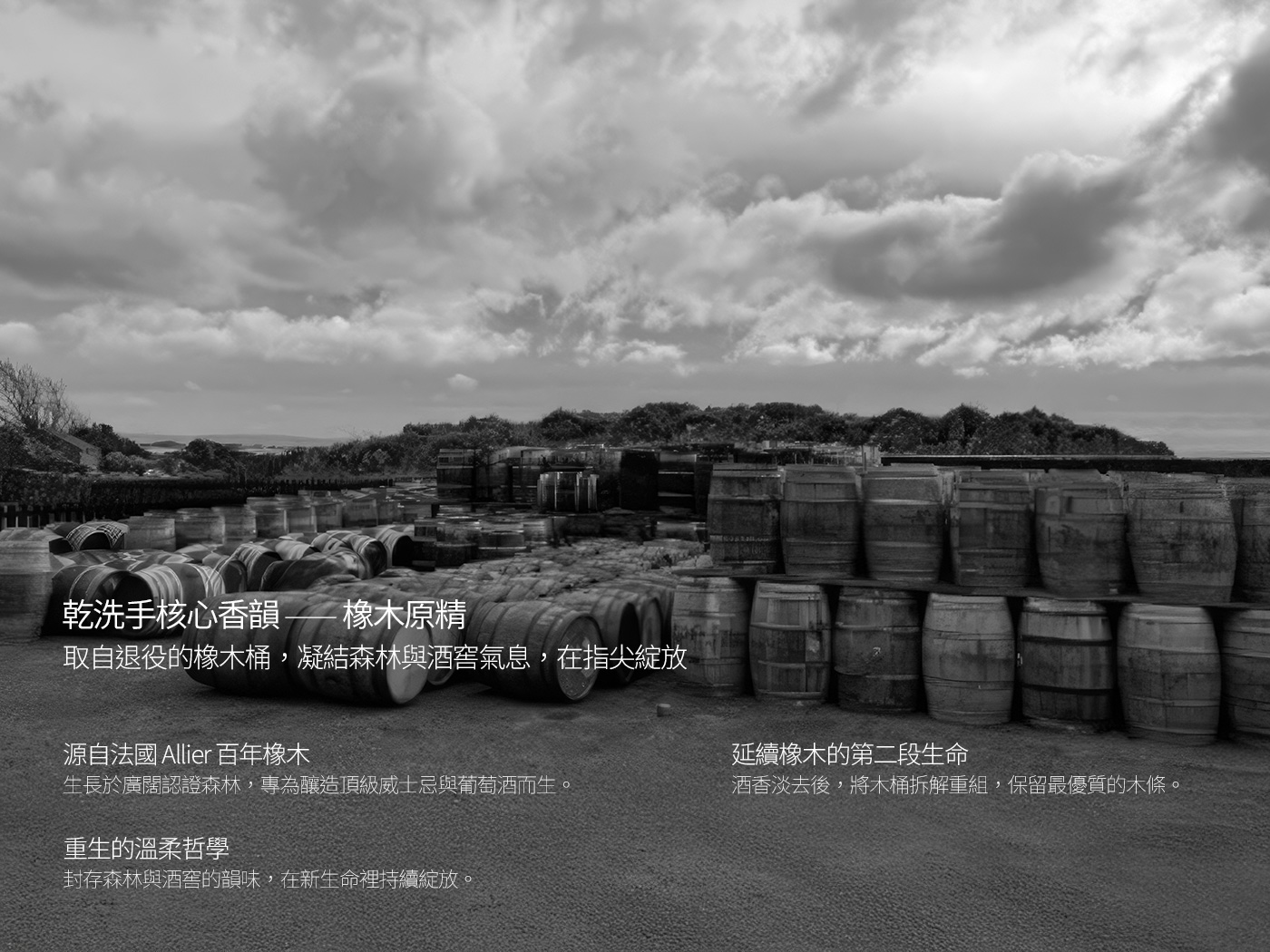 源自法國 Allier 百年橡木