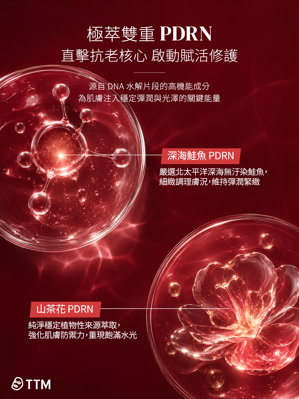 提提研 極萃雙重 PDRN